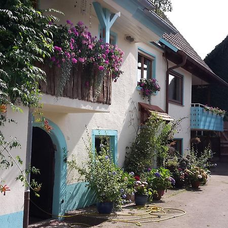 Rosenhof Broggingen Apartment Herbolzheim Ngoại thất bức ảnh