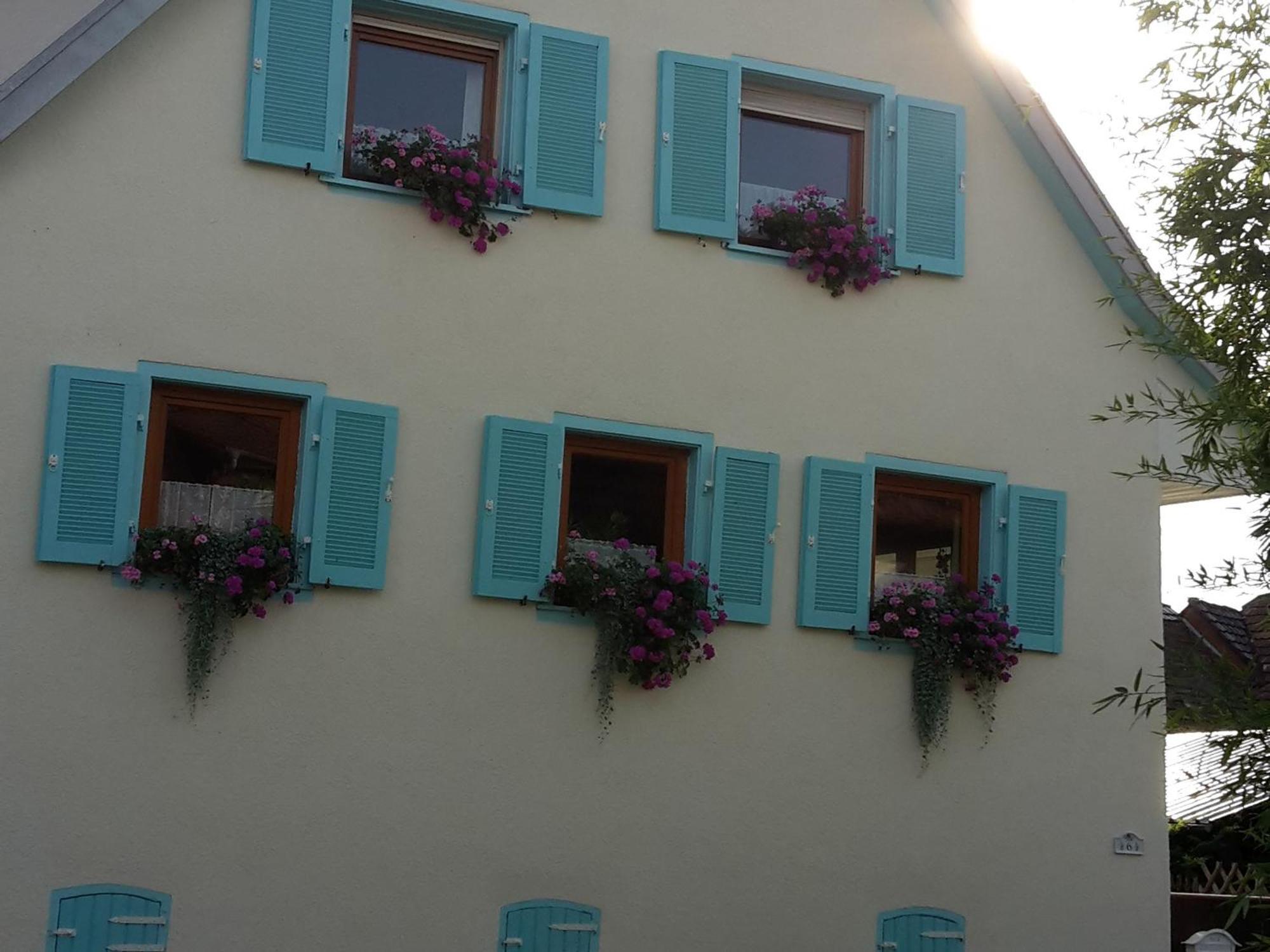 Rosenhof Broggingen Apartment Herbolzheim Ngoại thất bức ảnh