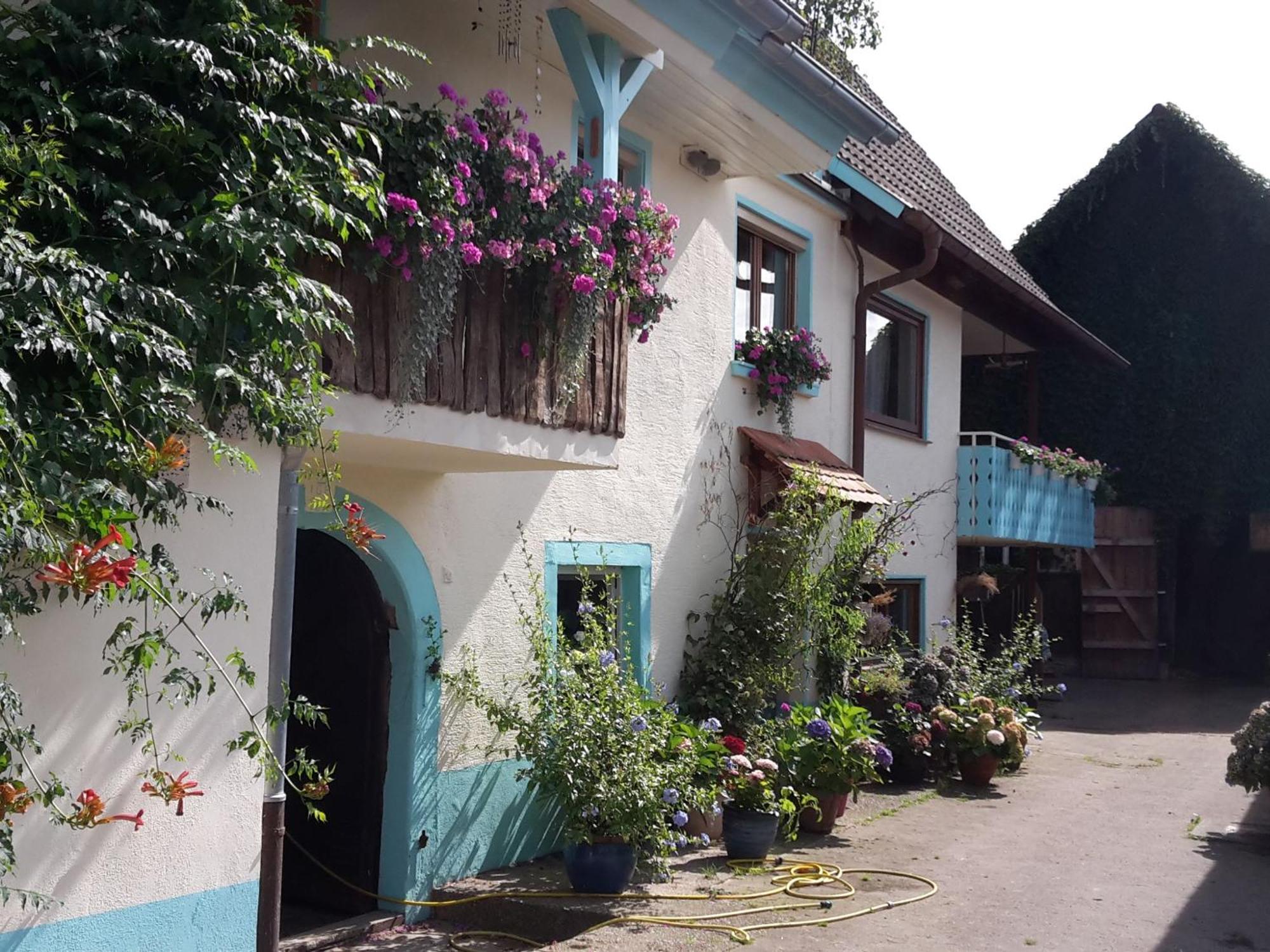Rosenhof Broggingen Apartment Herbolzheim Ngoại thất bức ảnh
