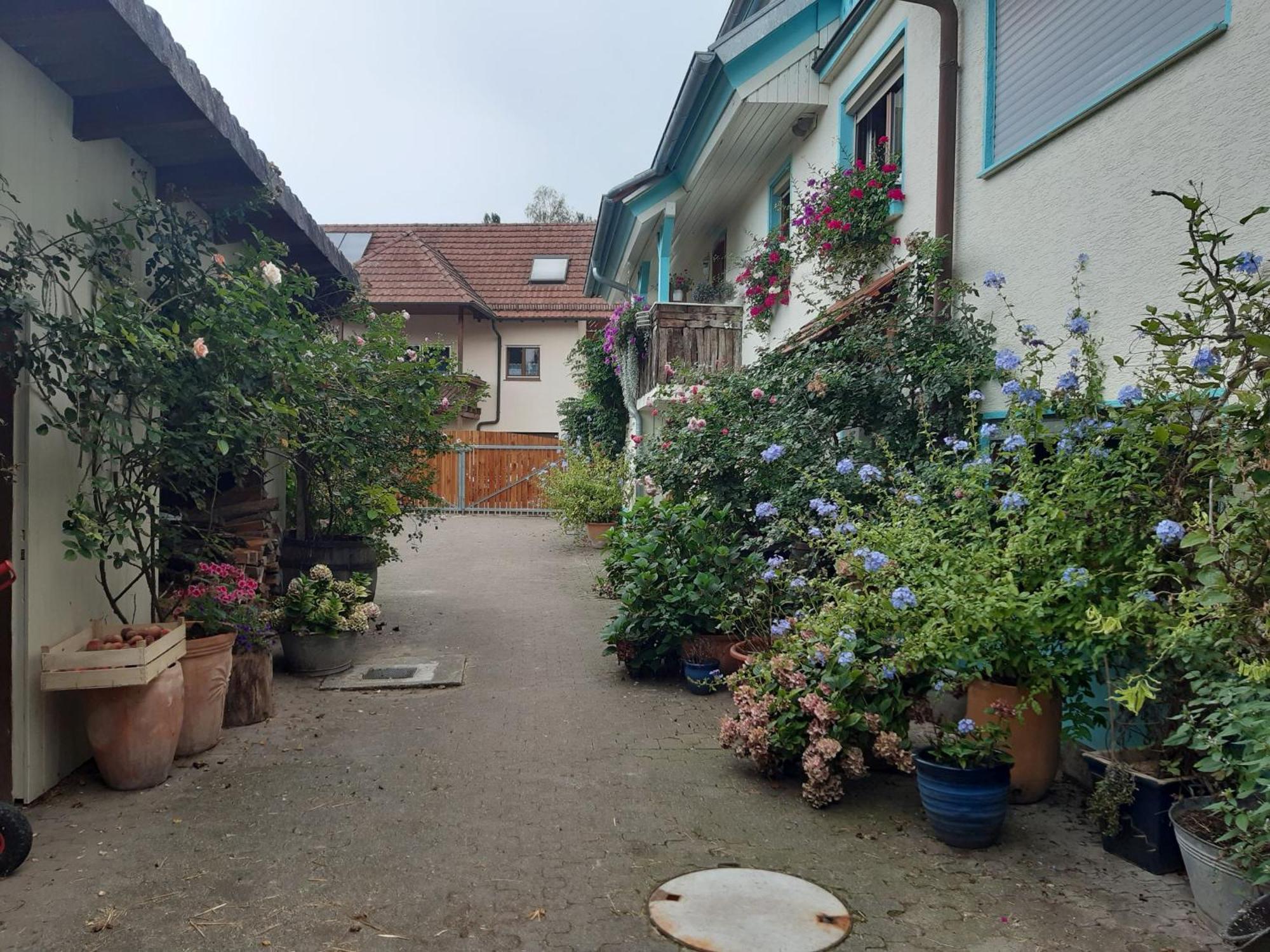 Rosenhof Broggingen Apartment Herbolzheim Ngoại thất bức ảnh